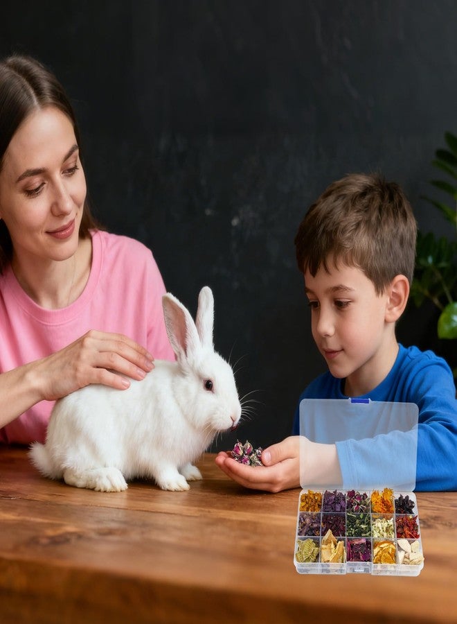 MHLLGN Bunny Treats, Treat Box with 15 Kind of Snacks for Rabbit, Hamster, Chinchilla, Guinea Pig and Other Small Pets, Chinchilla Treats, Guinea Pig Treat - Image 4